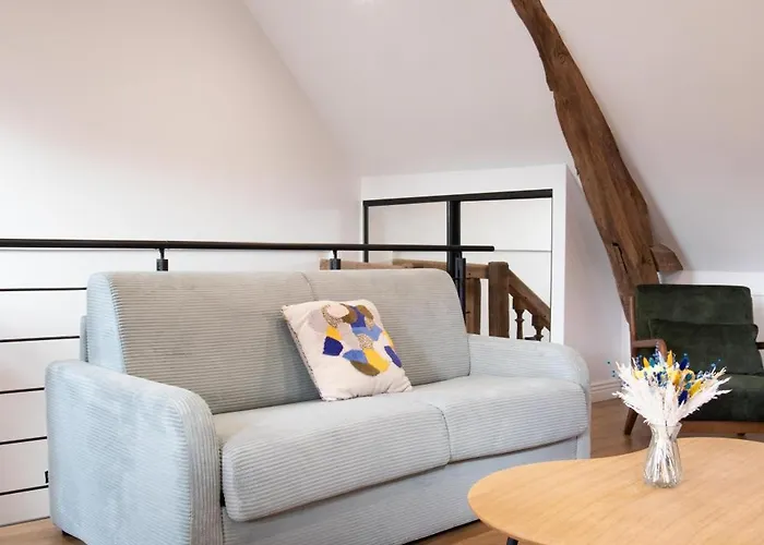 L'auberge Du Paon Appartement Troyes